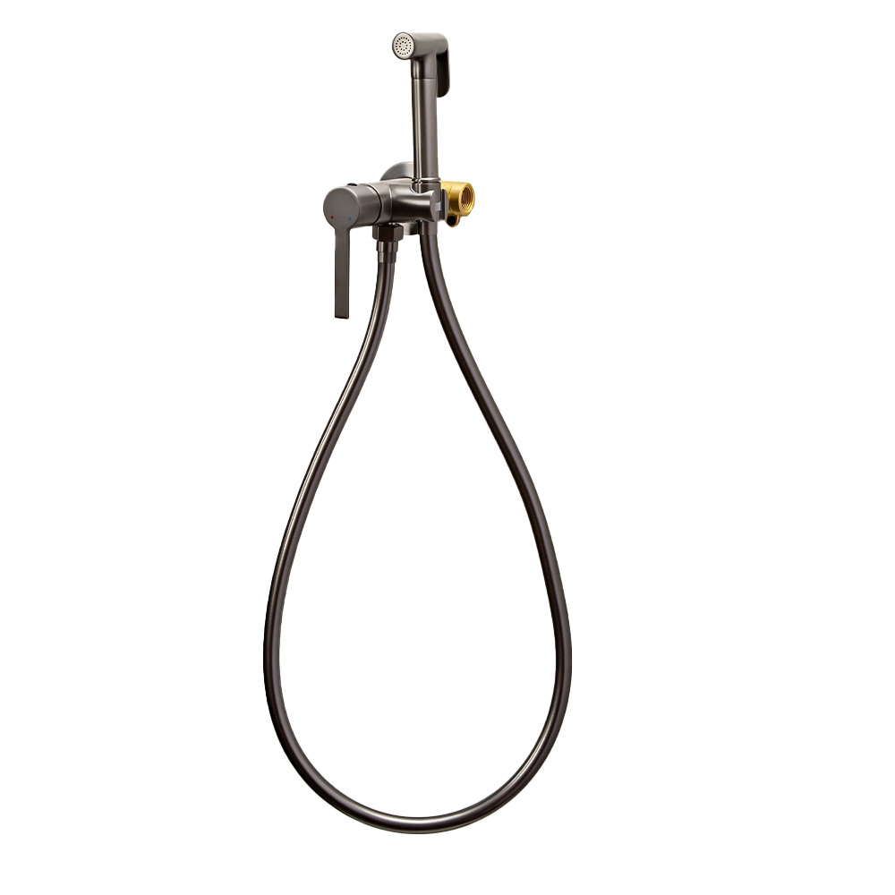 картинка Гигиенический душ со смесителем AVS Elegant оружейная сталь