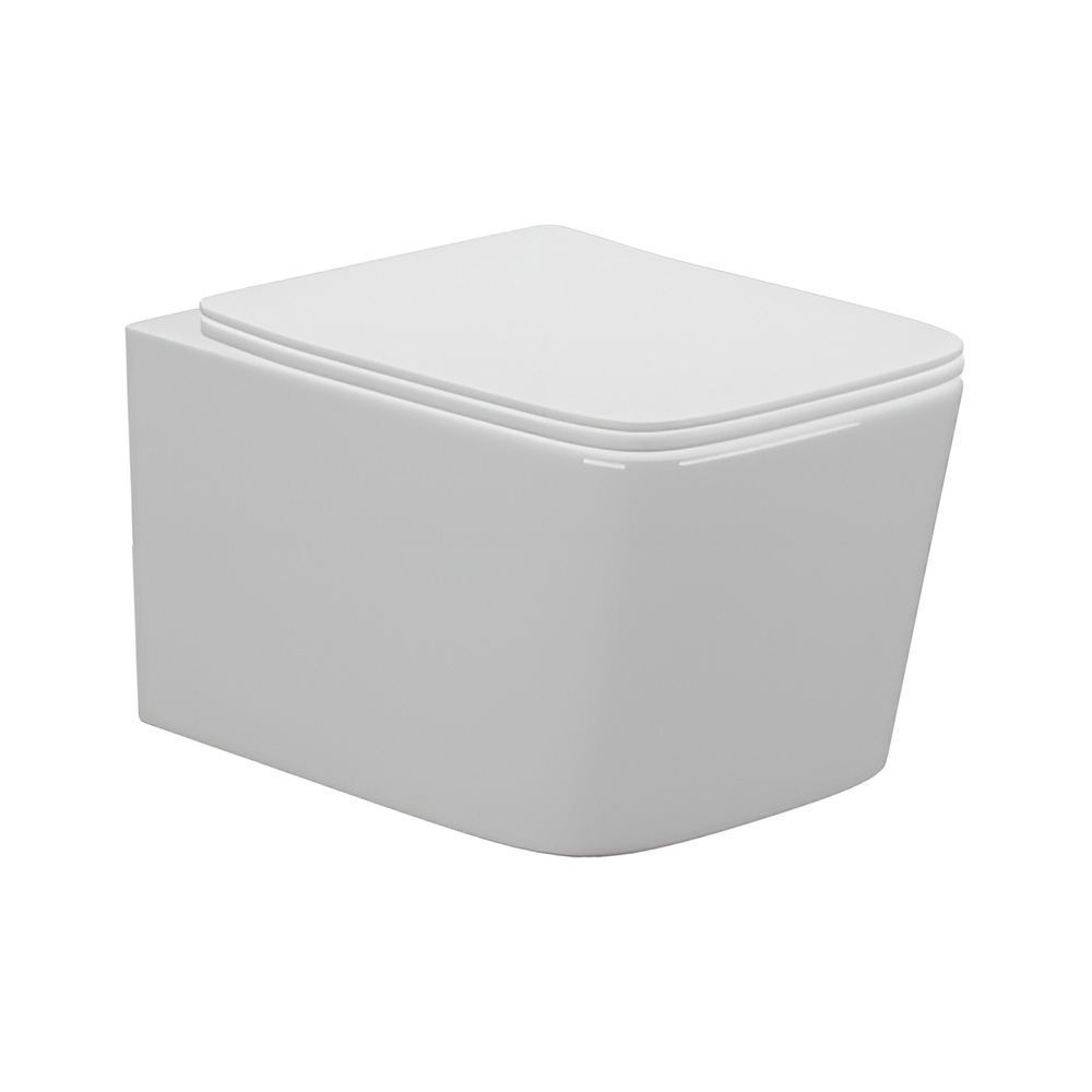 картинка Унитаз подвесной AVS Вектор безободковый с сиденьем, белый