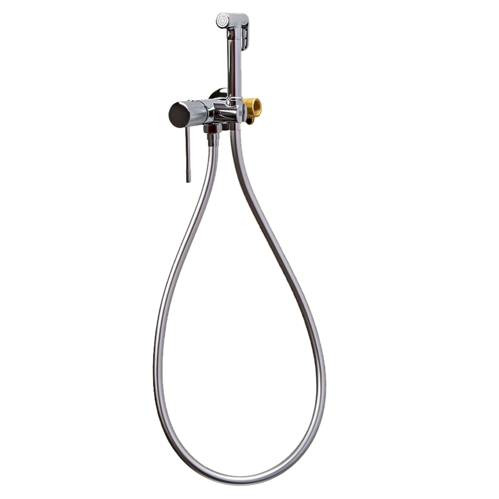 картинка Гигиенический душ со смесителем AVS Seeme хром